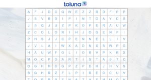 Toluna Puzzle di Parole