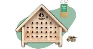 bee-hotel casetta api selvatiche