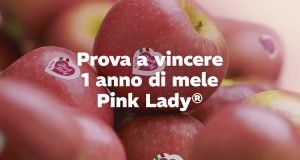 vinci 1 anno di mele Pink Lady 2025