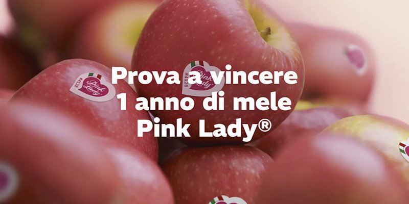 vinci 1 anno di mele Pink Lady 2025