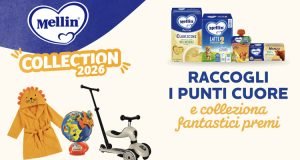 Mellin Collection 2026