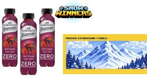 concorso Esselunga Snow Winners